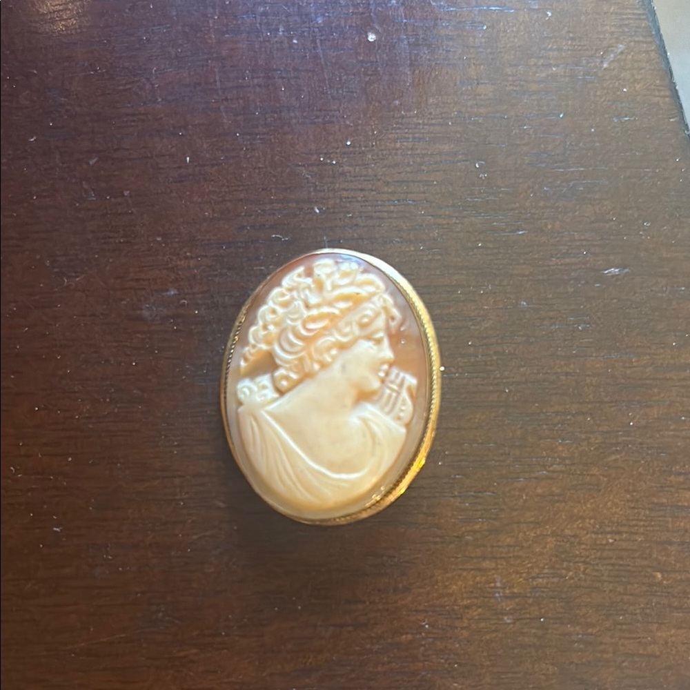 Elegant Cameo Brooch in Gold and Cream